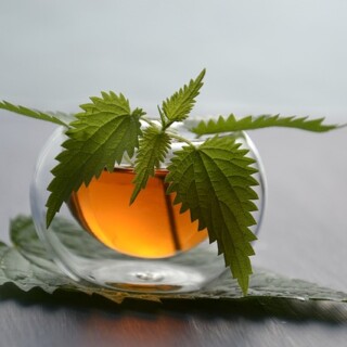 Die Brennnessel ist eine uns altbekannte und schon lange verwendet Heilpflanze mit den verschiedensten Anwendungsmöglichkeiten.